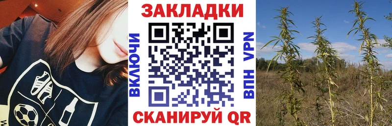 Названия наркотиков Котово A PVP  АМФЕТАМИН  ГАШИШ 