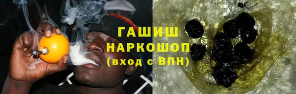 сатива Осташков