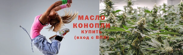 дмт Пересвет