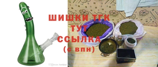 дмт Пересвет