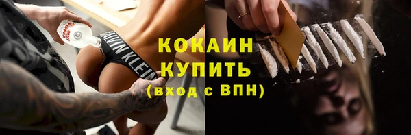 дмт Пересвет
