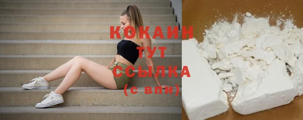 сатива Осташков