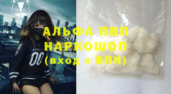 сатива Осташков