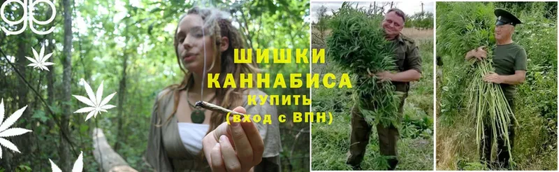 Бошки марихуана THC 21%  блэк спрут как войти  Котово 